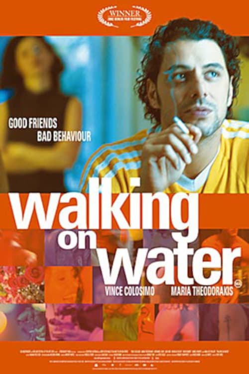 Director's Movie Image
