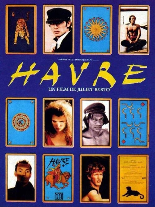 Director's Movie Image