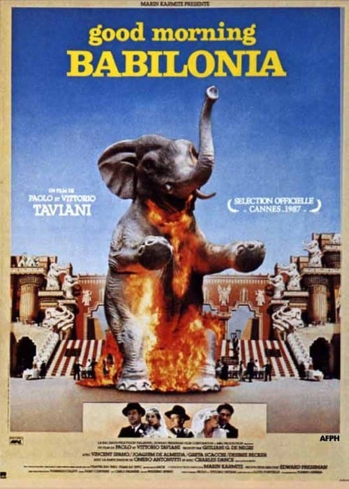 Director's Movie Image