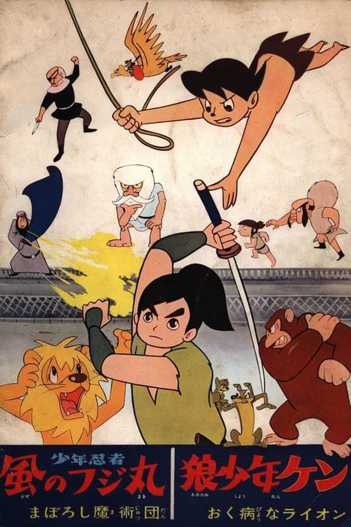 Director's Movie Image
