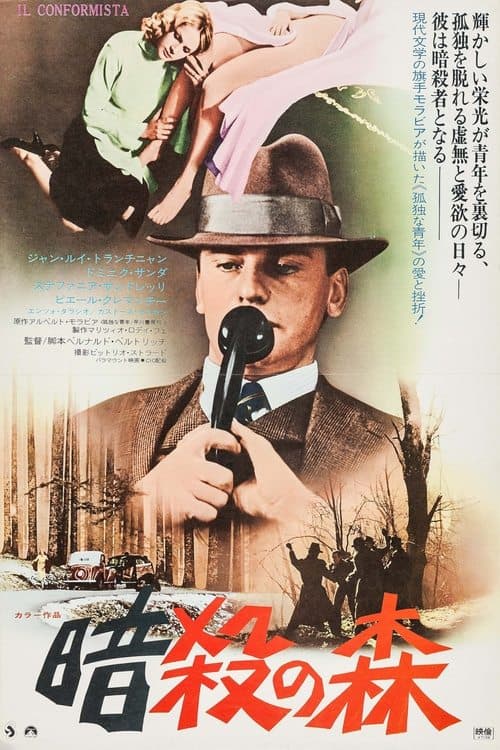 Director's Movie Image