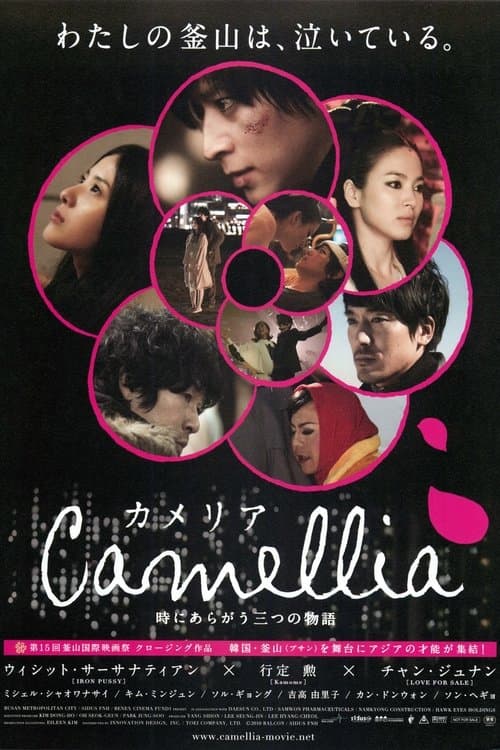 Director's Movie Image