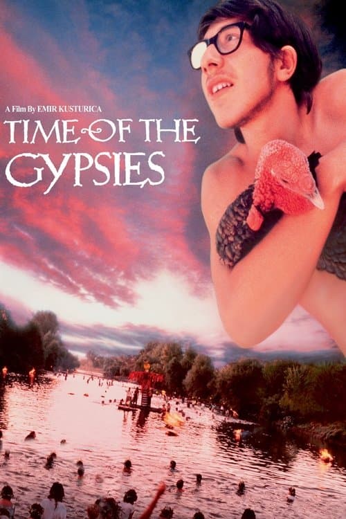 Director's Movie Image
