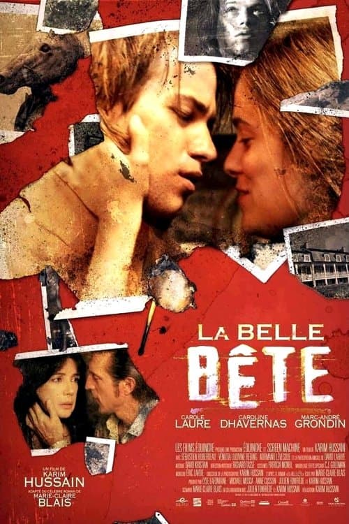 Director's Movie Image