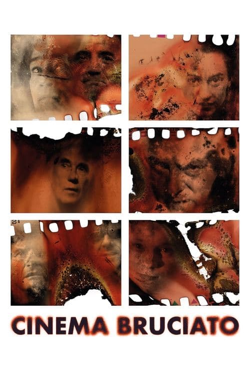 Director's Movie Image