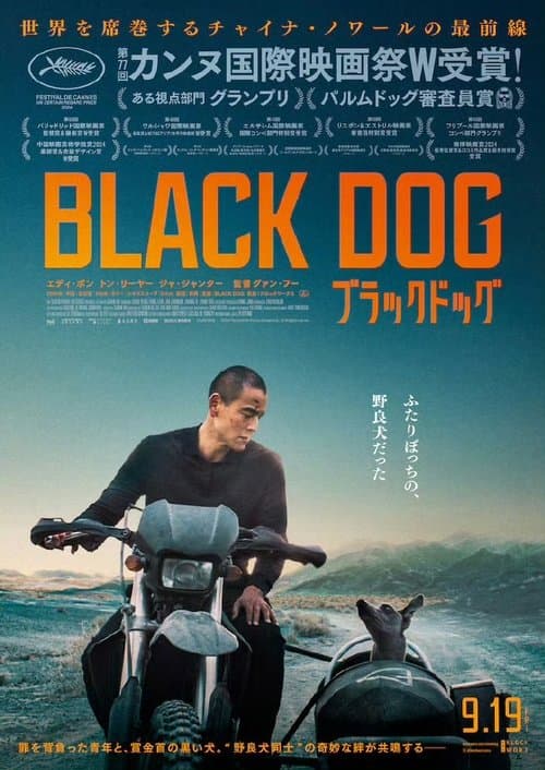 Director's Movie Image
