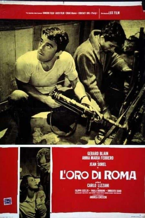 Director's Movie Image