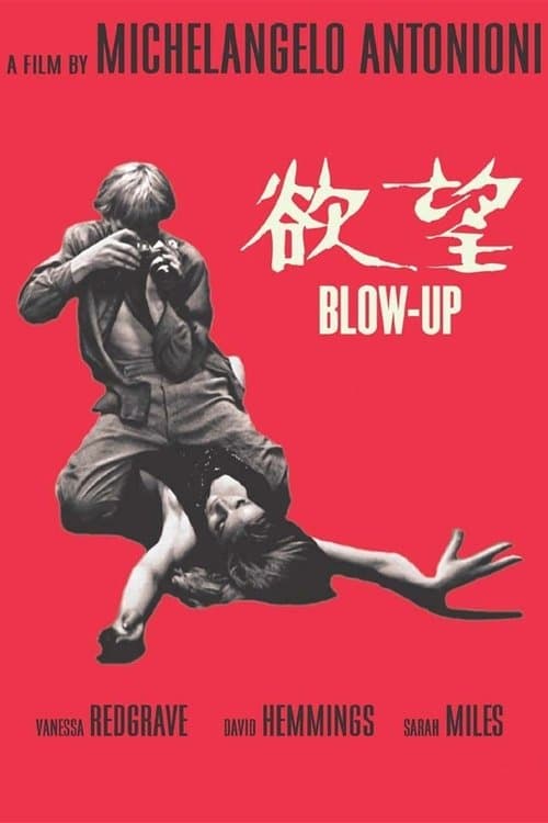 Director's Movie Image