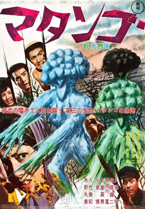Director's Movie Image