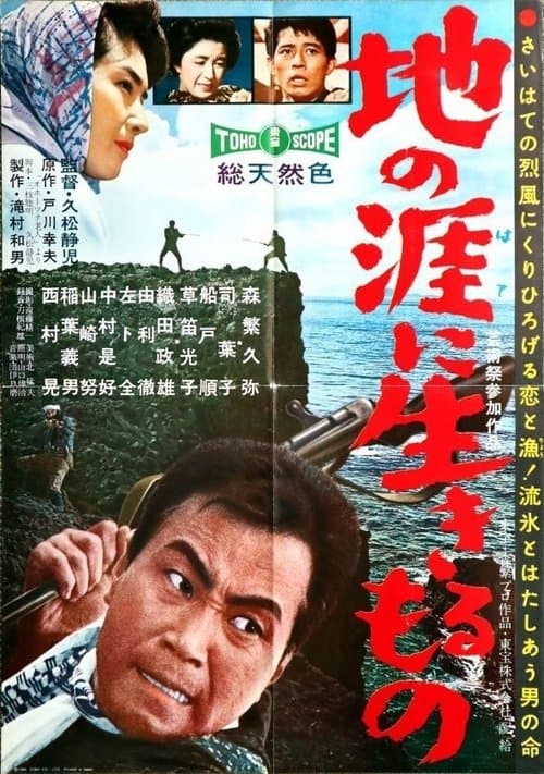 Director's Movie Image