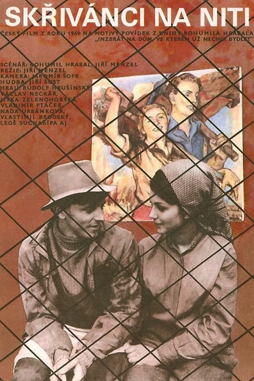 Director's Movie Image