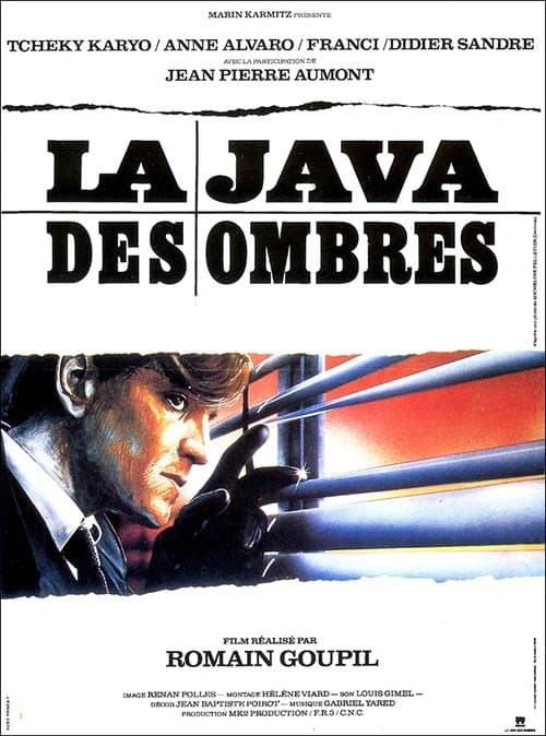 Director's Movie Image