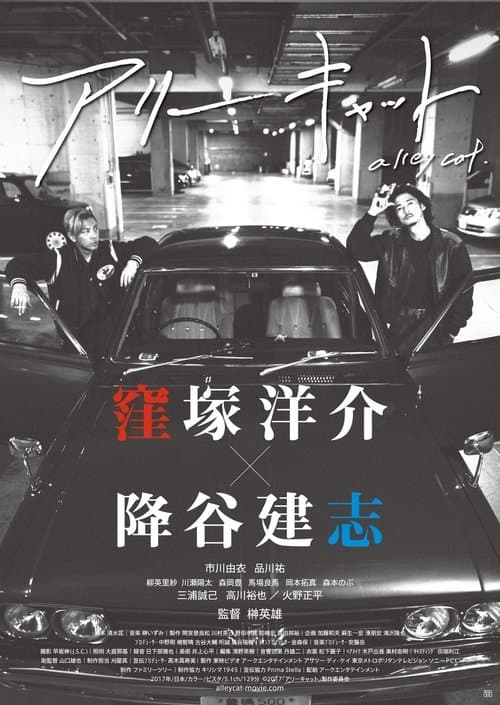 Director's Movie Image