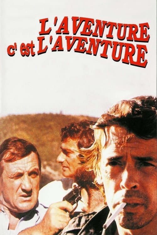 Director's Movie Image
