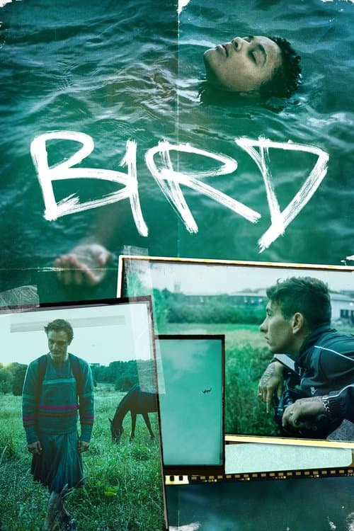 Director's Movie Image