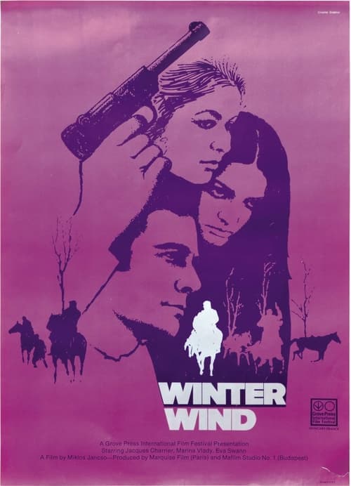 Director's Movie Image