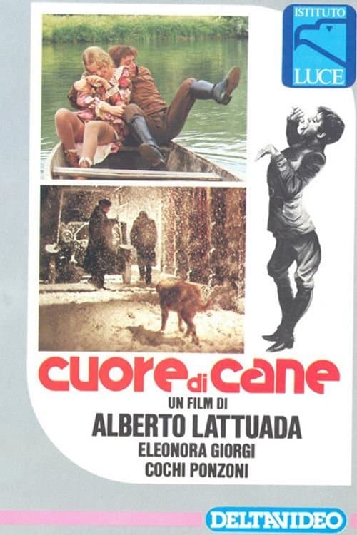 Director's Movie Image