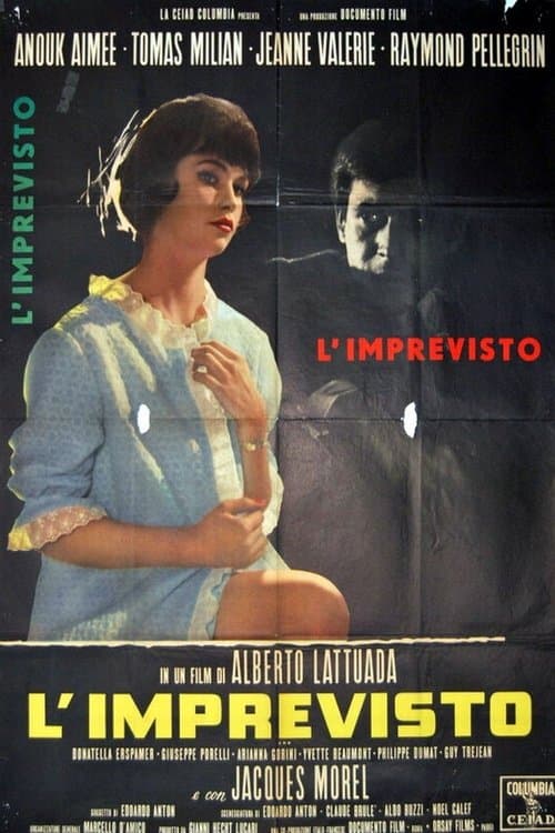 Director's Movie Image