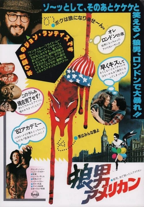 Director's Movie Image