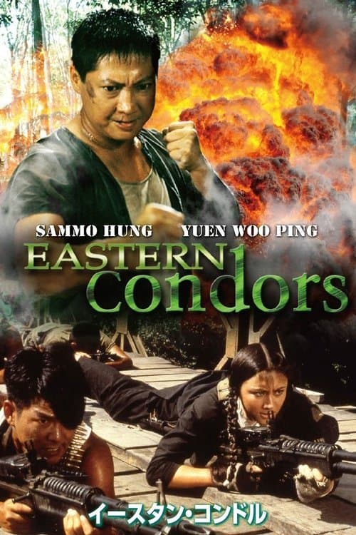 Director's Movie Image