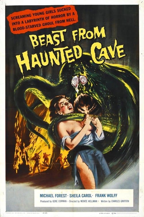 Director's Movie Image