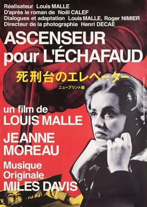 Director's Movie Image