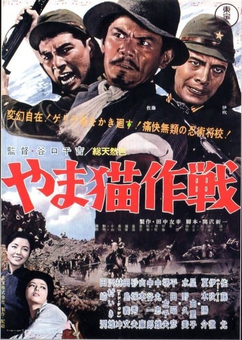 Director's Movie Image