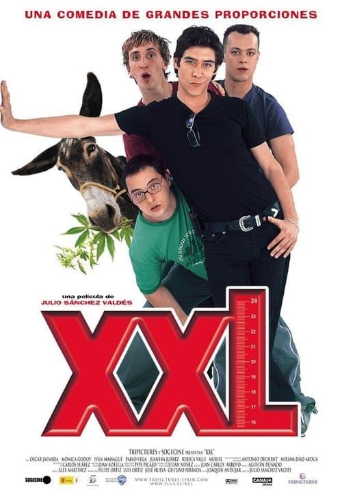 Director's Movie Image