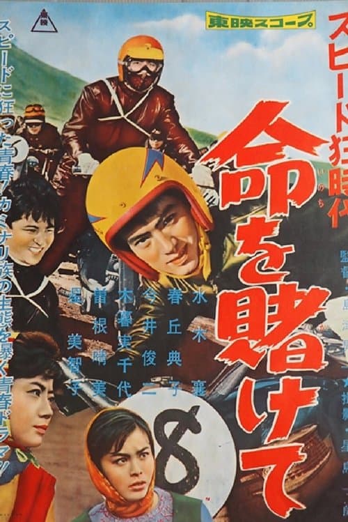 Director's Movie Image