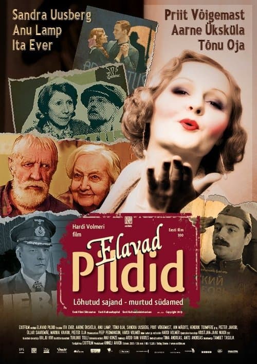 Director's Movie Image