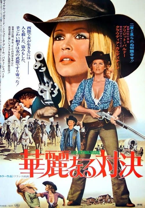 Director's Movie Image