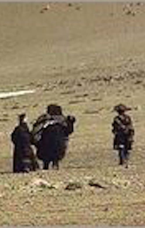 Director's Movie Image
