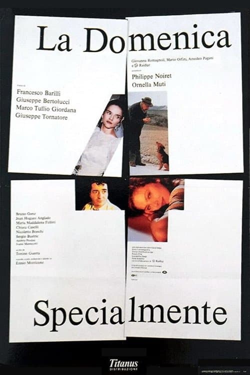 Director's Movie Image