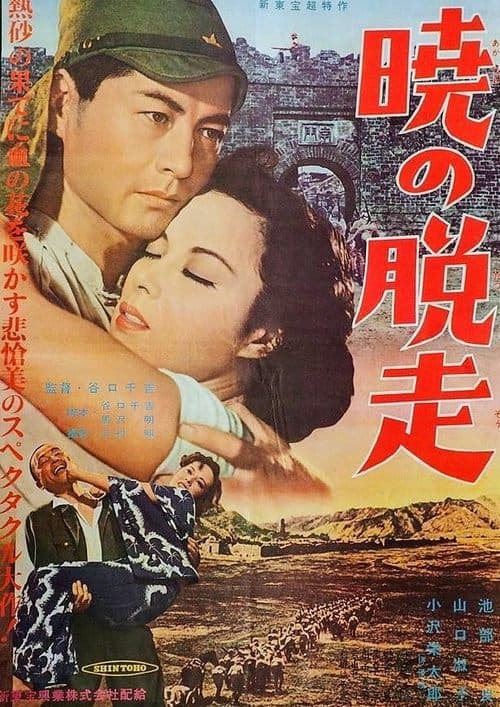 Director's Movie Image