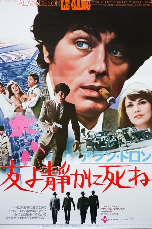 Director's Movie Image