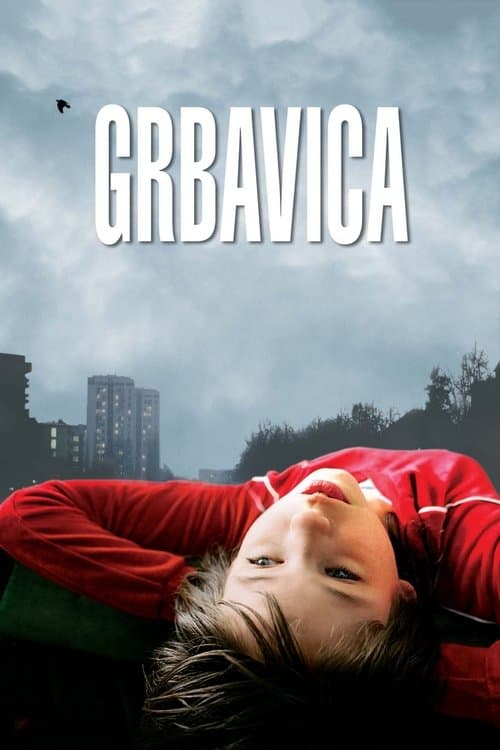 Director's Movie Image
