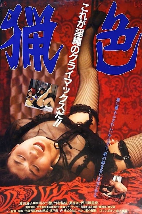 Director's Movie Image