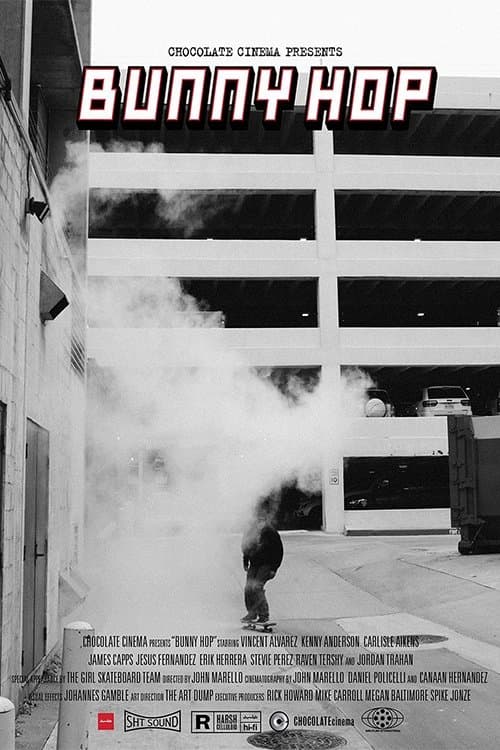 Director's Movie Image