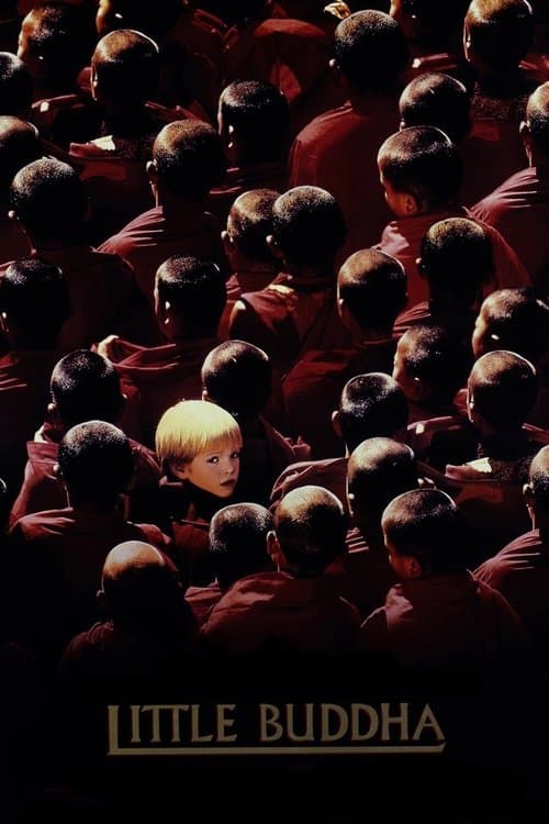 Director's Movie Image