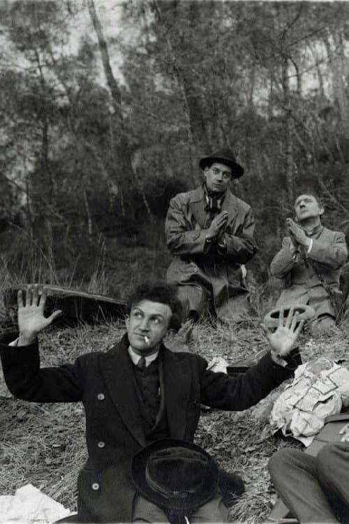 Director's Movie Image