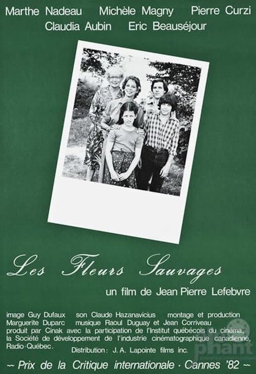 Director's Movie Image