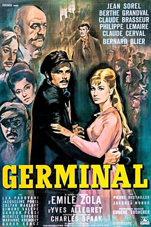 Director's Movie Image