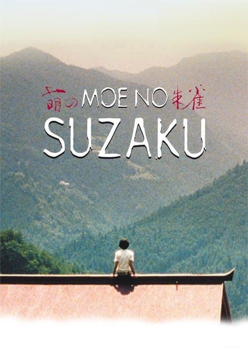 Director's Movie Image