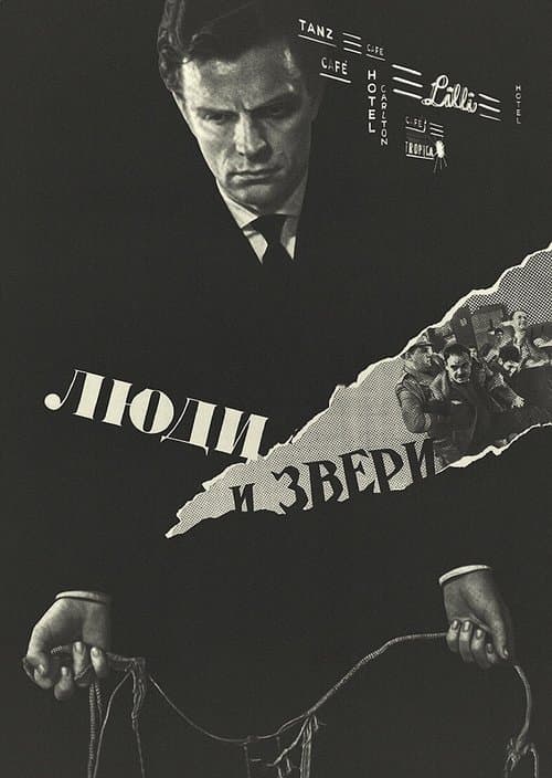 Director's Movie Image