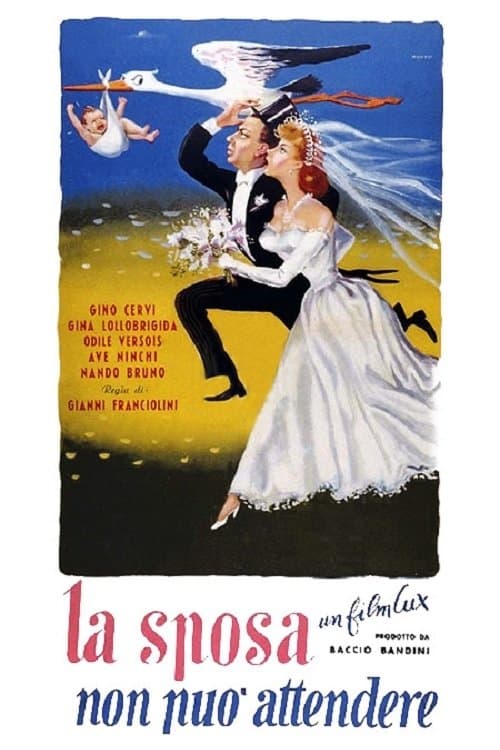 Director's Movie Image