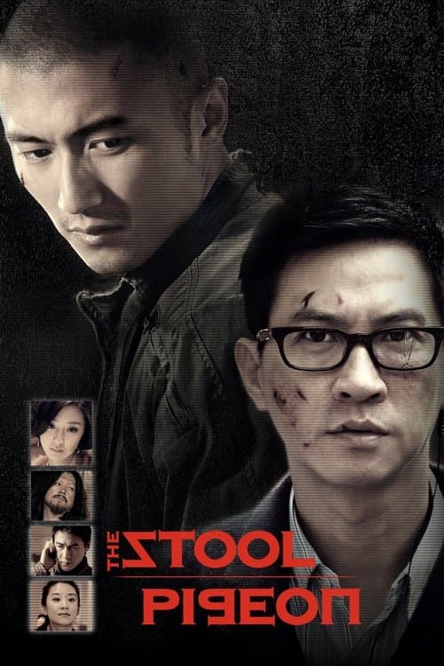 Director's Movie Image