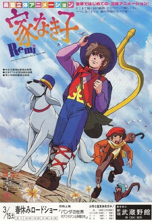 Director's Movie Image