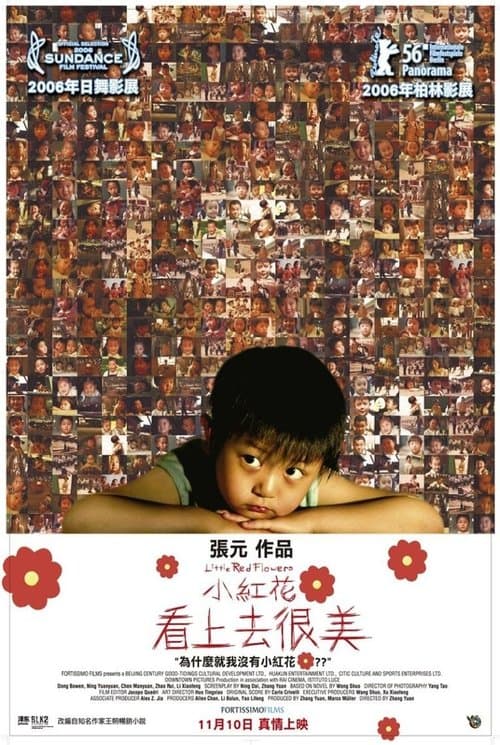 Director's Movie Image