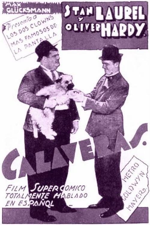 Director's Movie Image