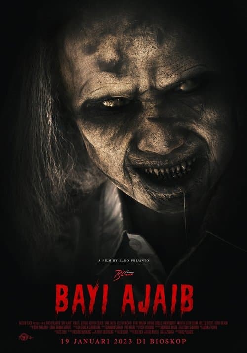 Director's Movie Image